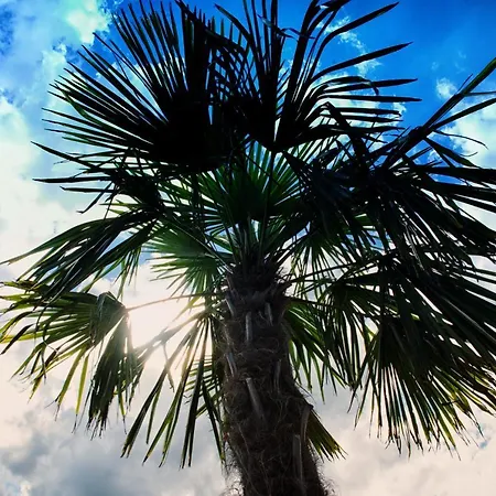 Semesterbostad Paradise Pod Palmami