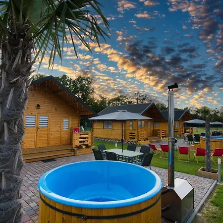 Paradise Pod Palmami Zator