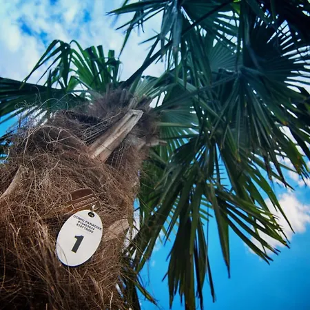 Hébergement de vacances Paradise Pod Palmami Zator