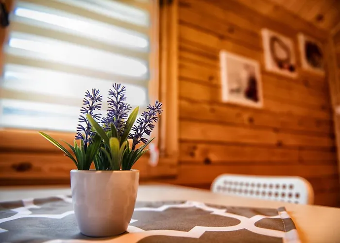 Paradise Pod Palmami * Zator