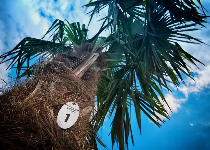 Nyaraló Paradise Pod Palmami Zator